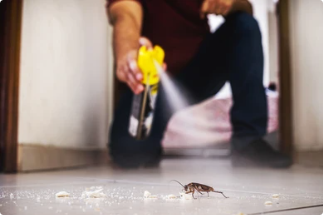 あなたが知っておくべきエアロゾル殺虫剤溶媒