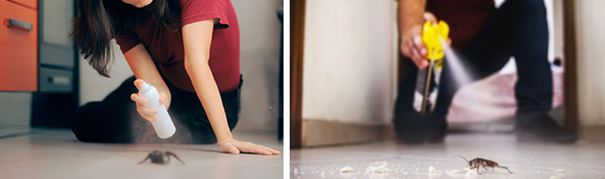 殺虫剤エアゾール