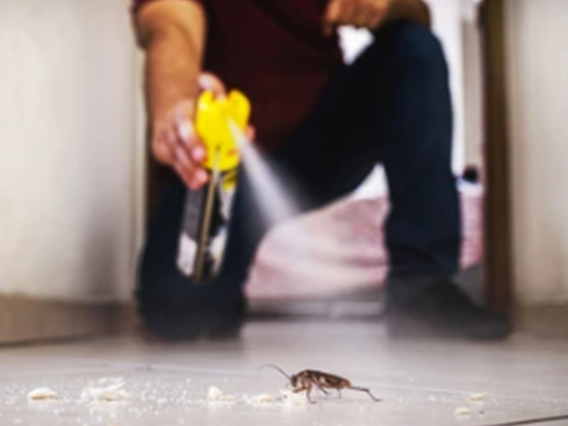 殺虫剤の製造および充填機とソリューション